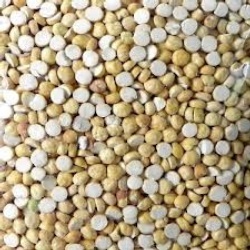 Manufacturers Exporters and Wholesale Suppliers of Fried Gram Coimbatore Tamil Nadu